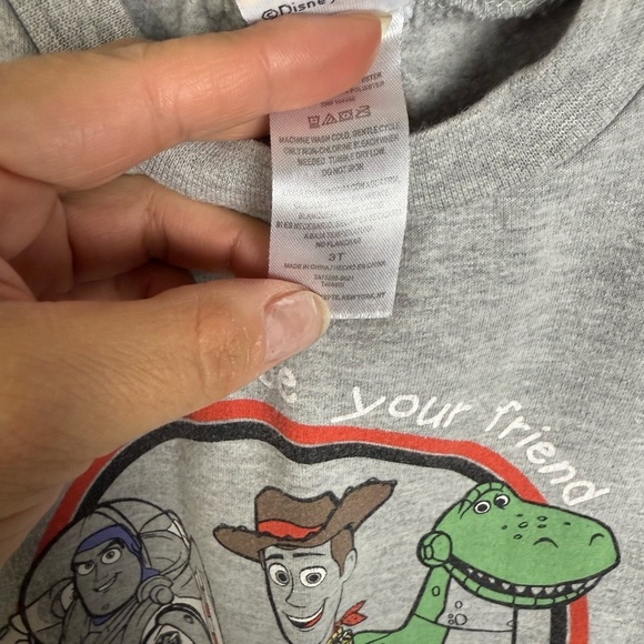 Toy Story Colorblock Pull Over Sweater 3T - Picture 6 of 6